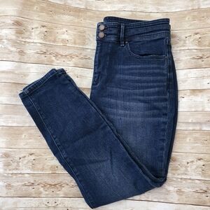 Ann Taylor Dark Wash Skinny Jeans